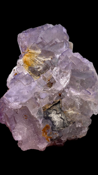 A close-up of a raw fluorite specimen from The Crystalary showcases cubic, transparent, and translucent crystals varying in color from light purple to clear. Some areas exhibit hints of orange and dark mineral inclusions. The solid black background highlights the intricacies of the crystal structure from Lead Hill, Cave-In-Rock, Hardin County, Illinois, USA.