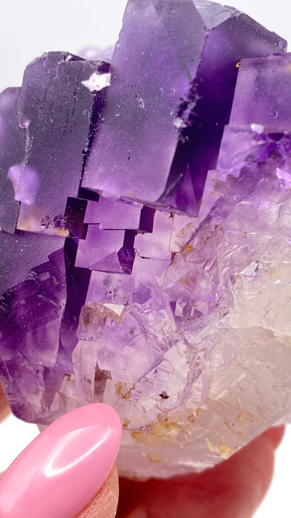 A close-up of a hand with pink painted nails holding a large, multi-faceted sample from The Crystalary's "Fluorite - Lead Hill, Cave-In-Rock, Hardin County, Illinois, USA," showcasing an array of purple shades from deep to light with intricate geometric patterns.