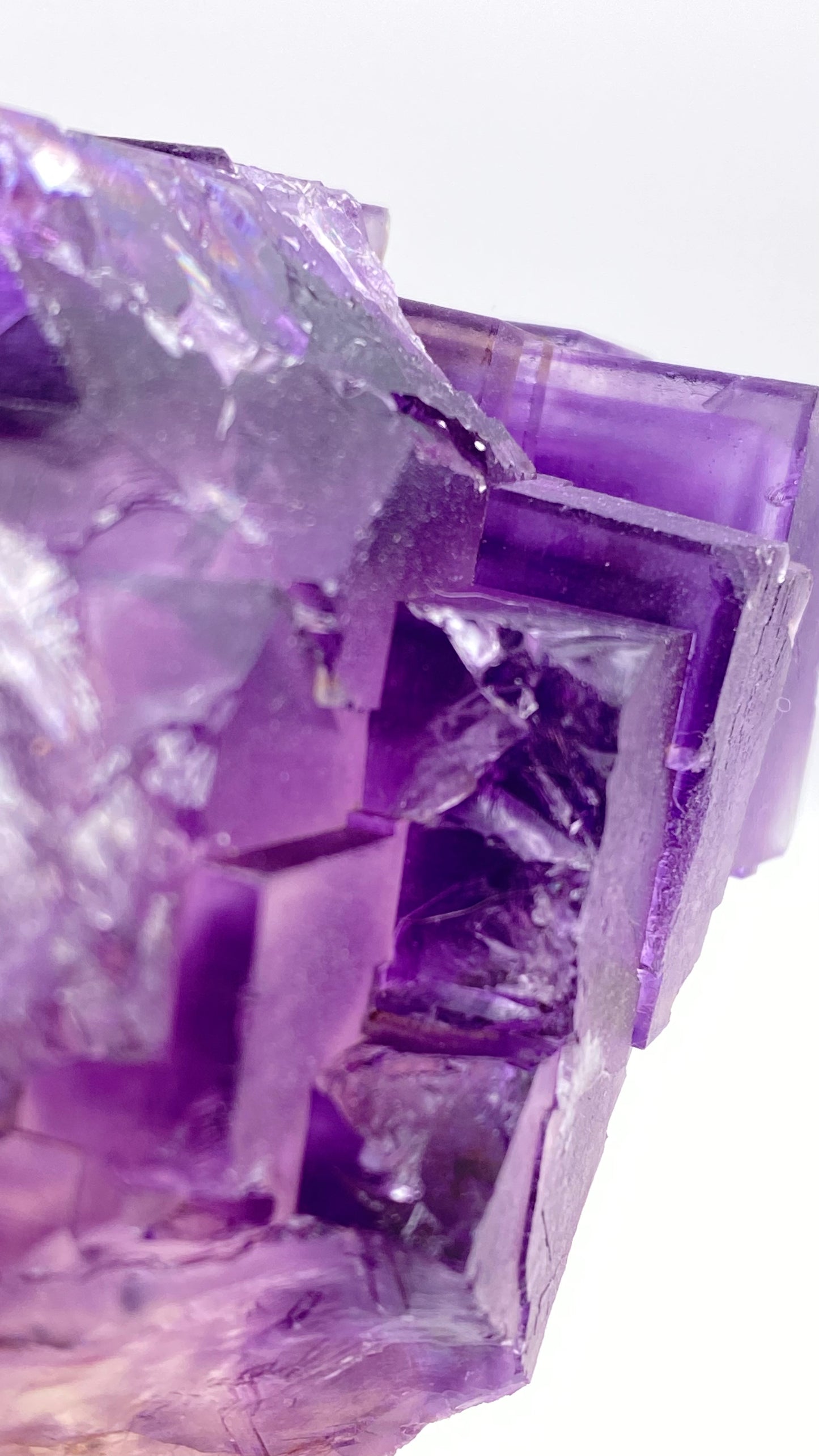 Close-up of a Fluorite- Lead Hill crystal formation from Cave-In-Rock, Hardin County, Illinois, USA, with a mix of smooth and jagged surfaces. Exhibiting shades from deep violet to lighter lavender, its geometric facets catch the light, creating a reflective, sparkling effect. Available from The Crystalary.