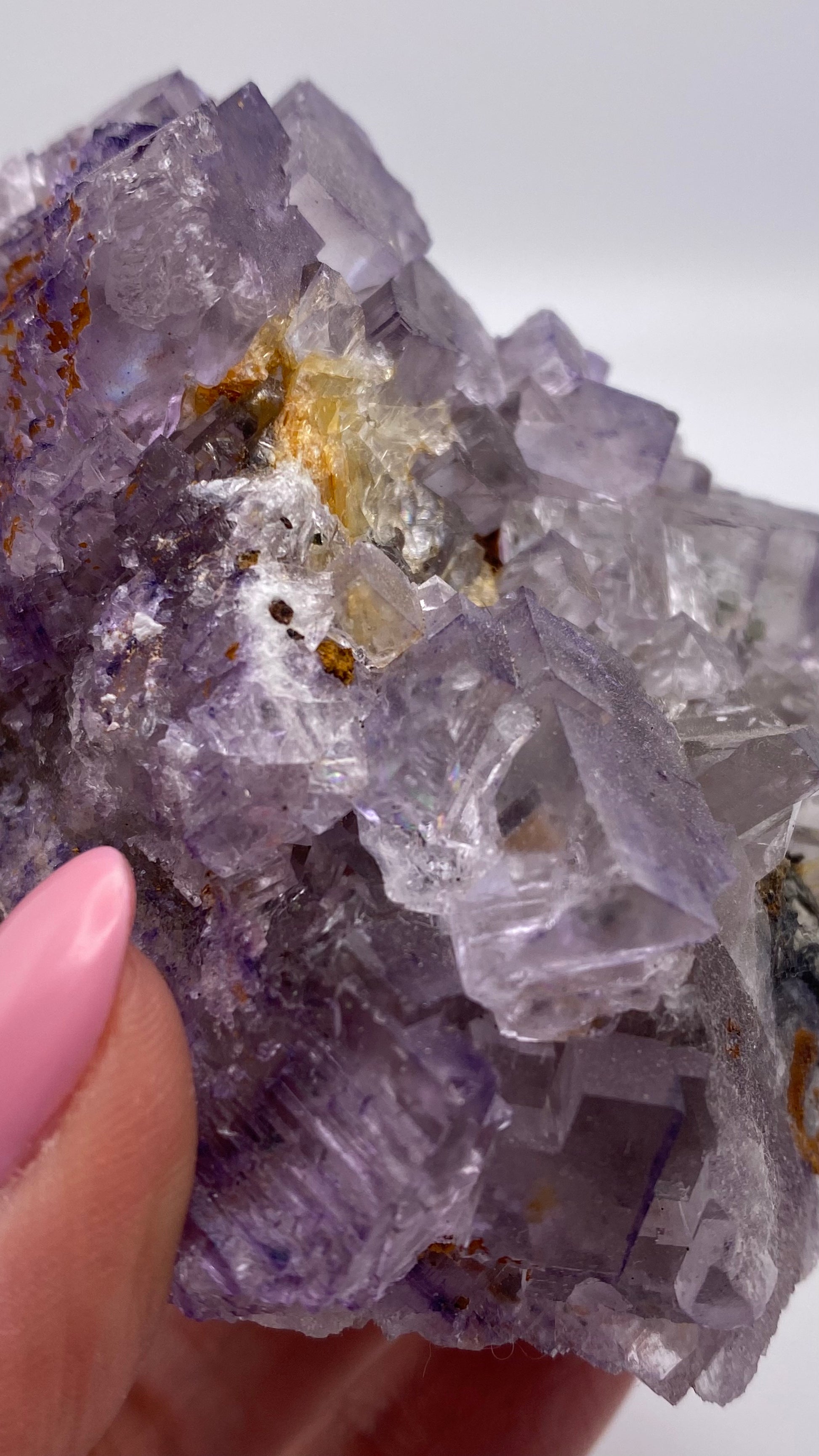 A close-up of a person's hand holding The Crystalary's Fluorite from Lead Hill, Cave-In-Rock, Hardin County, Illinois, USA. The cluster consists of purple cubic fluorite crystals with interspersed yellow and brown mineral inclusions. The person's light pink manicured fingernails contrast against the plain and out-of-focus background.