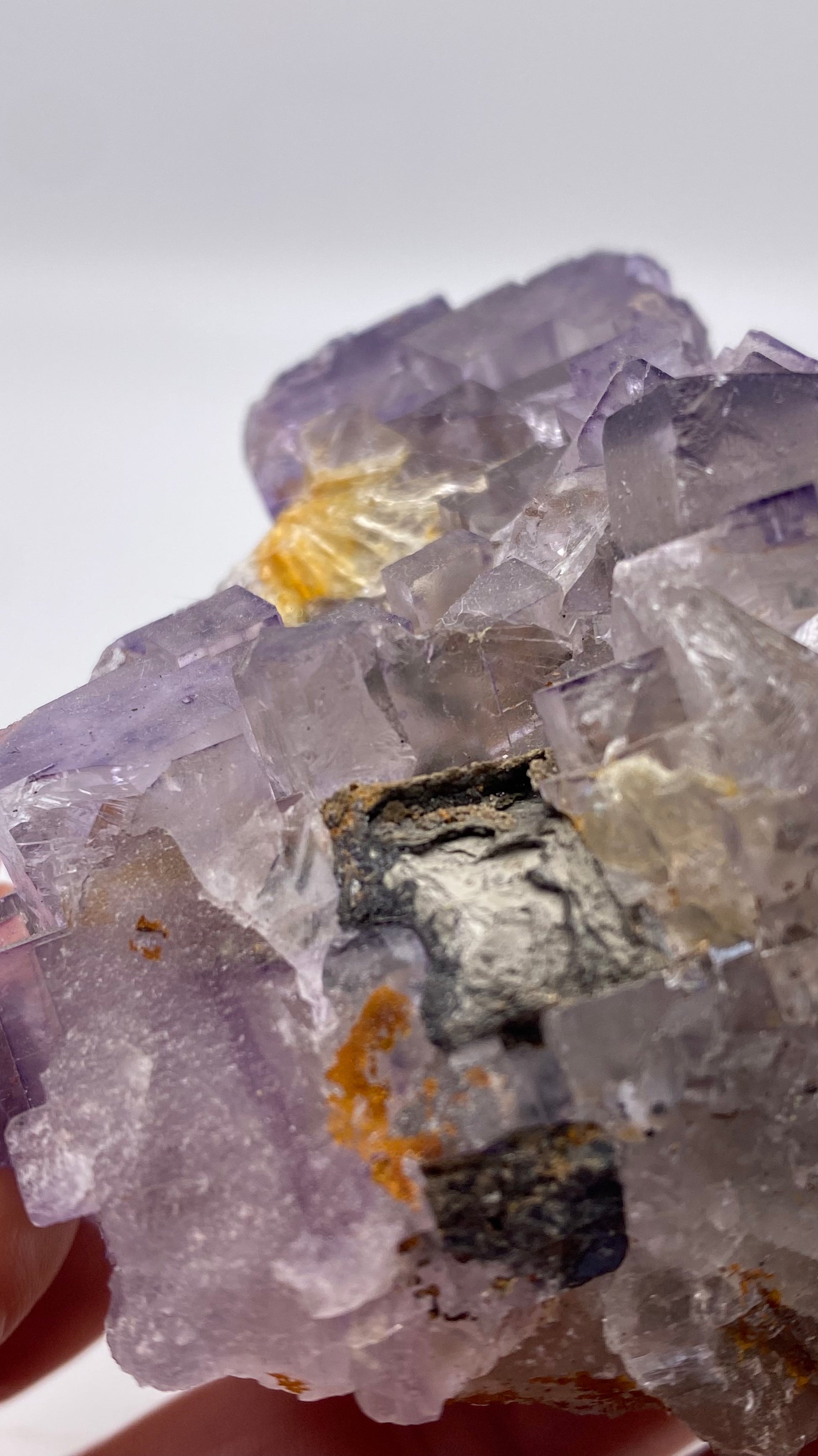 A close-up photograph of the Fluorite- Lead Hill specimen by The Crystalary, showcasing clear, purple-tinted, and yellow crystalline structures. These crystals, hailing from Hardin County's Cave-In-Rock Mining district in Illinois, are intricately clustered together with sharp edges. Some crystals exhibit black mineral inclusions against the blurred edge of a hand.