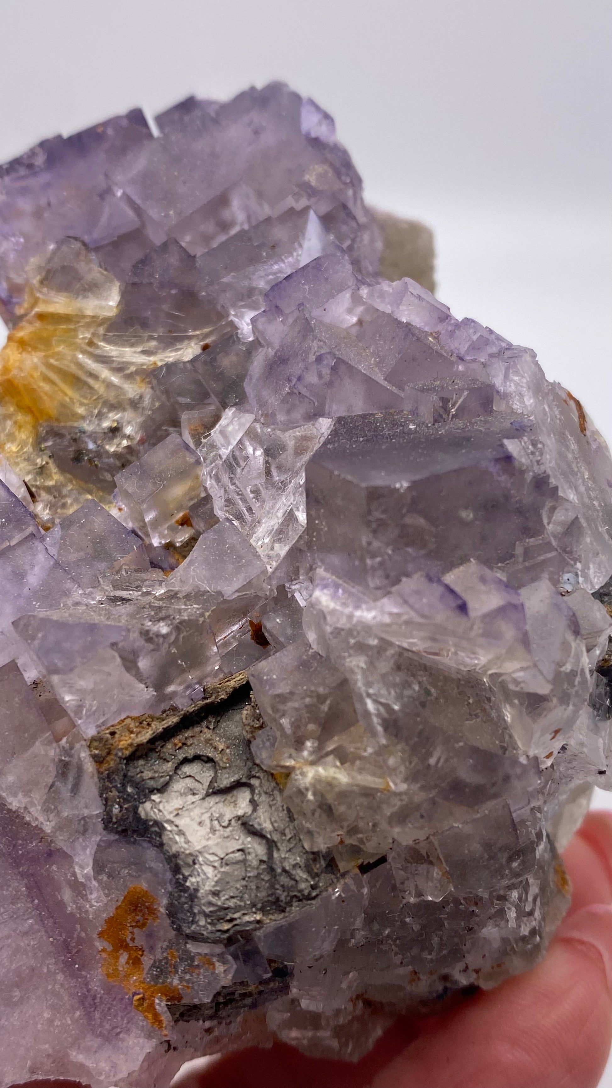 A close-up of a hand holding a cluster of Fluorite from Lead Hill, Cave-In-Rock, Hardin County, Illinois. This stunning specimen from The Crystalary features purple crystals exhibiting a cubic structure with clear and slightly cloudy areas. Mineral inclusions within the cluster add unique textures and colors to this exquisite piece.