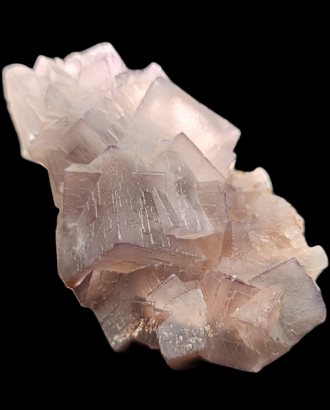 A cluster of light purple fluorite crystals from Mekhtar, Loralai, Balochistan, Pakistan is exhibited against a black background. These translucent, slightly rough-textured cubic structures vary in size and form a layered appearance that showcases the unique quality of fluorite. Available under The Crystalary brand.