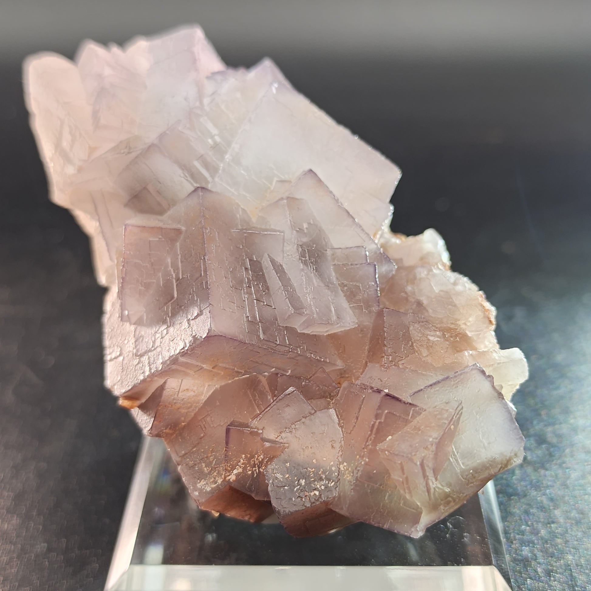 A close-up of a Fluorite specimen from Mekhtar, Loralai, Balochistan, Pakistan showcases its cubic, translucent purple crystals. This quality piece from The Crystalary features a layered appearance and is elegantly displayed on a clear stand against a dark background, emphasizing its intricate structure and subtle coloration.