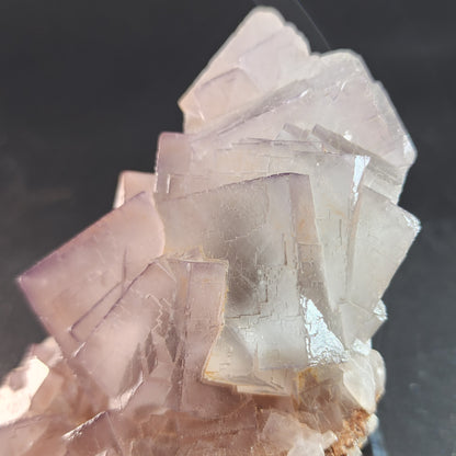 A close-up image of a mineral formation, featuring several translucent, square-shaped Loralai fluorite crystals from Mekhtar, Balochistan, Pakistan. The light pink-hued crystals exhibit a layered stair-step structure. The dark, neutral background enhances the delicate pink of the premium-quality fluorite offered by The Crystalary.