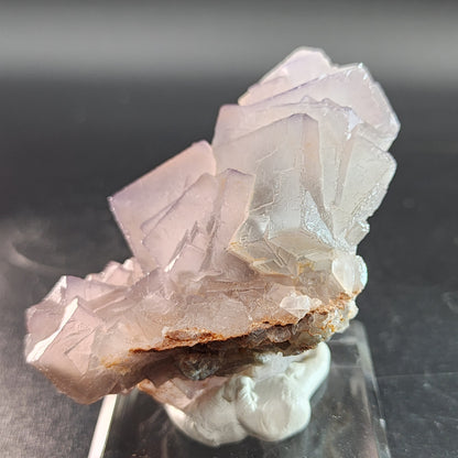 Displayed on a clear stand against a dark, blurred background, the Fluorite from Mekhtar, Loralai, Balochistan, Pakistan by The Crystalary features a cluster of translucent, pale purple cubic crystals atop a small brown and gray rock base. The colorful fluorite crystals exhibit a slightly rough texture with visible edges and facets.