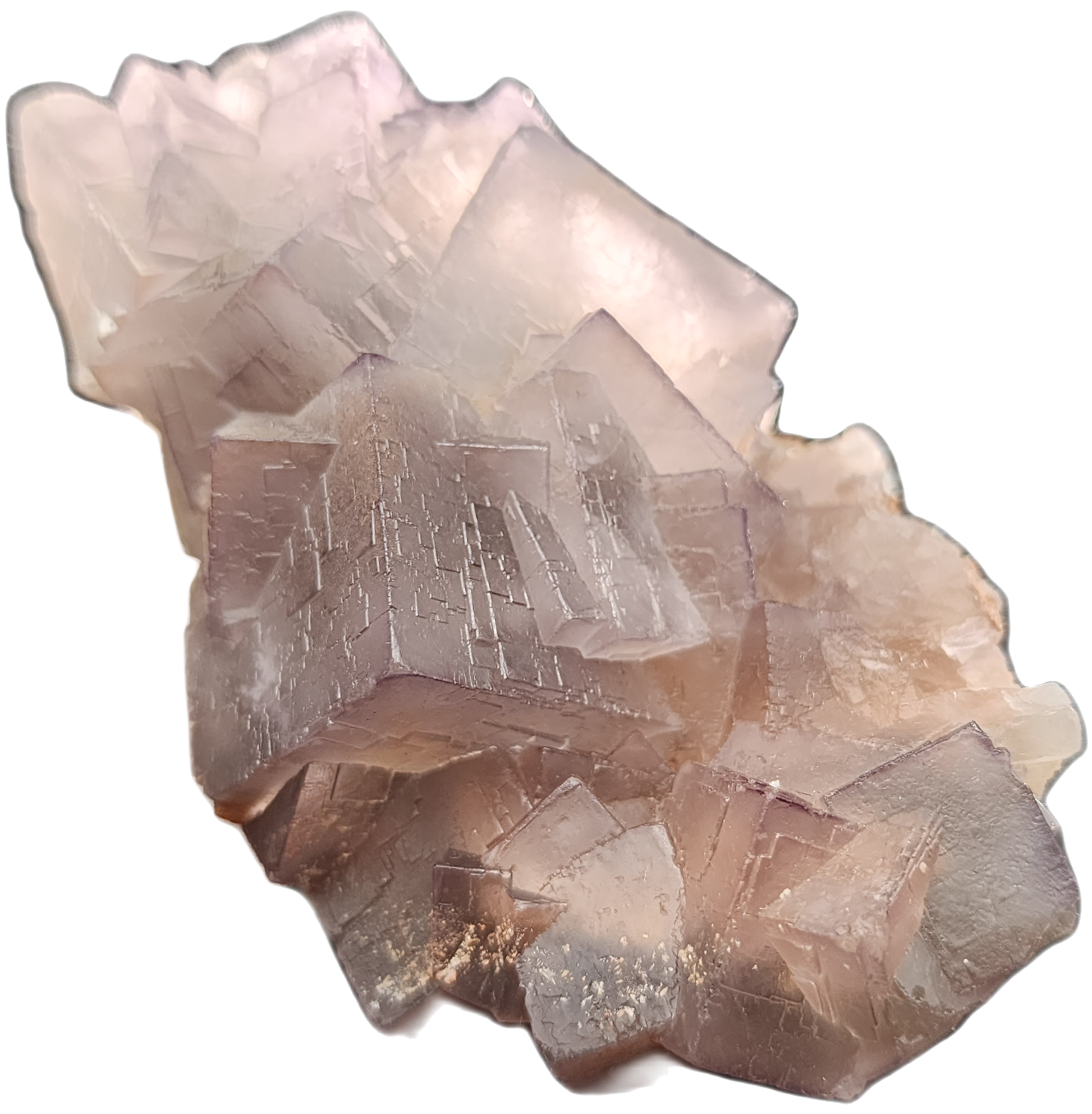 The Crystalary presents a beautiful piece of Fluorite from Mekhtar, Loralai, Balochistan, Pakistan. This stunning cluster features pale pink, transparent cubic crystals with a delicate purple tint. The high-quality fluorite showcases sharp geometric structures and boasts an ethereal appearance. Its surface reflects light gracefully, adding a subtle shimmer to the overall look.