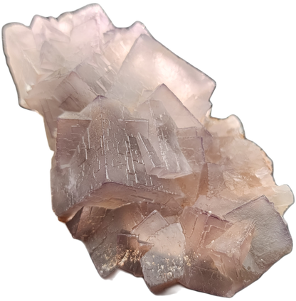 The Crystalary presents a beautiful piece of Fluorite from Mekhtar, Loralai, Balochistan, Pakistan. This stunning cluster features pale pink, transparent cubic crystals with a delicate purple tint. The high-quality fluorite showcases sharp geometric structures and boasts an ethereal appearance. Its surface reflects light gracefully, adding a subtle shimmer to the overall look.