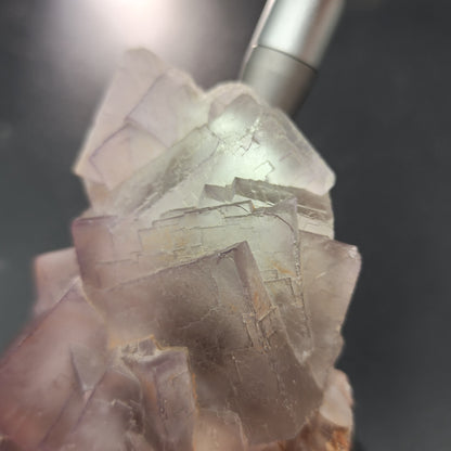 Close-up of a translucent, multi-faceted Fluorite specimen from Mekhtar, Loralai, Balochistan, Pakistan by The Crystalary. The pale purple hues of this quality mineral are being illuminated by a silver instrument, possibly a light source or magnifying tool, highlighting the intricate structure and textures.