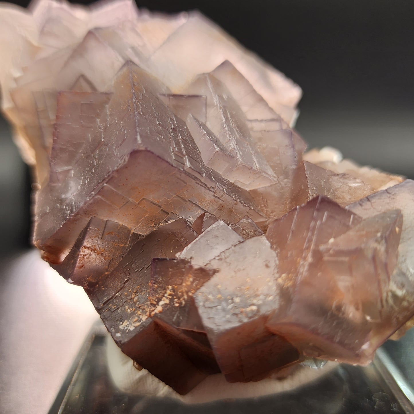 A close-up view of a cluster of translucent, geometric-shaped Fluorite crystals from Mekhtar, Loralai, Balochistan, Pakistan. The surfaces exhibit a complex arrangement of lines and facets with a slight purple and brown hue. The softly blurred background highlights the fine details of this quality Fluorite specimen from The Crystalary.