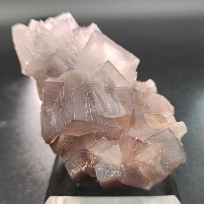 Close-up of "Fluorite, Mekhtar, Loralai, Balochistan, Pakistan," by The Crystalary featuring an array of translucent, purple cubic crystals with a matte surface. The high-quality fluorite crystals are clustered together, forming a jagged and textured structure. The background is a smooth, dark surface contrasting with the shimmering crystals.