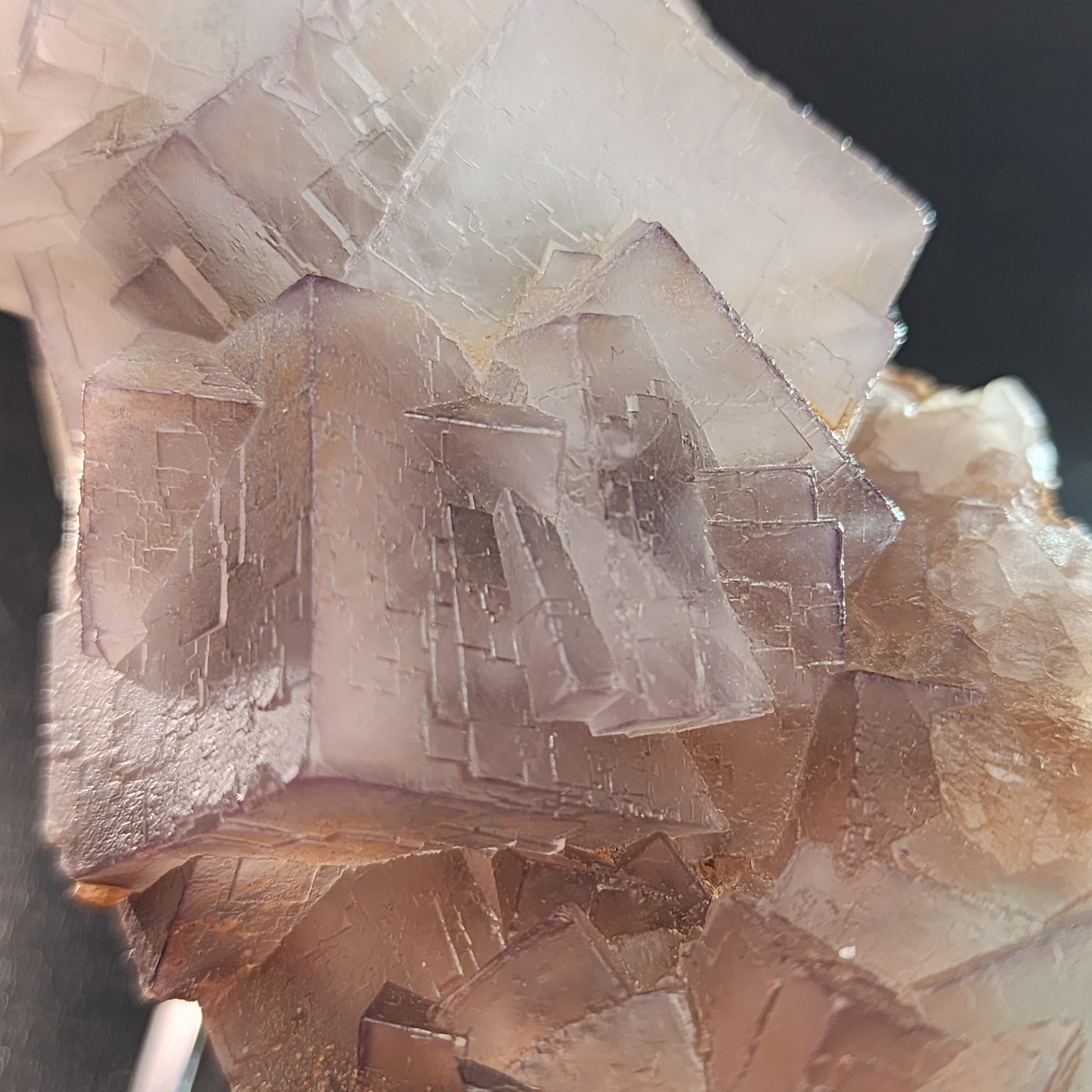 Close-up of a quality fluorite specimen from The Crystalary, featuring translucent cubic crystals with purple edges. The crystals exhibit a slightly rough and textured surface, showcasing subtle variations in color from light lavender to beige tones. Originating from Mekhtar, Loralai, Balochistan, Pakistan, the mineral is set against a dark and out-of-focus background.