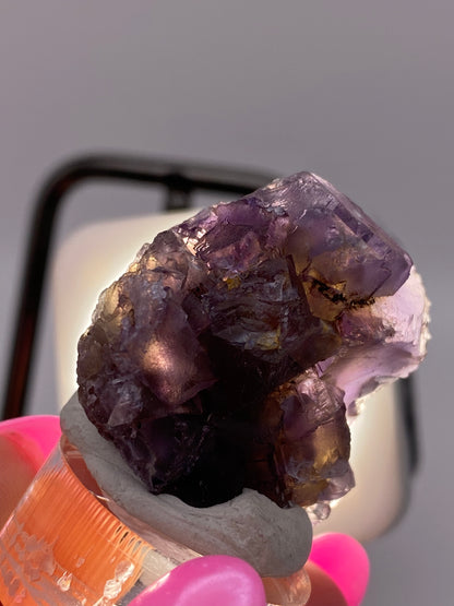 Close-up of a hand holding a piece of Fluorite from The Crystalary's Minerva Mine #1 in Hardin County, Illinois, against a blurred background. The hand is wearing a bright pink glove, and the light violet partial cubes on the crystal display various shades of purple with some translucent and reflective surfaces.