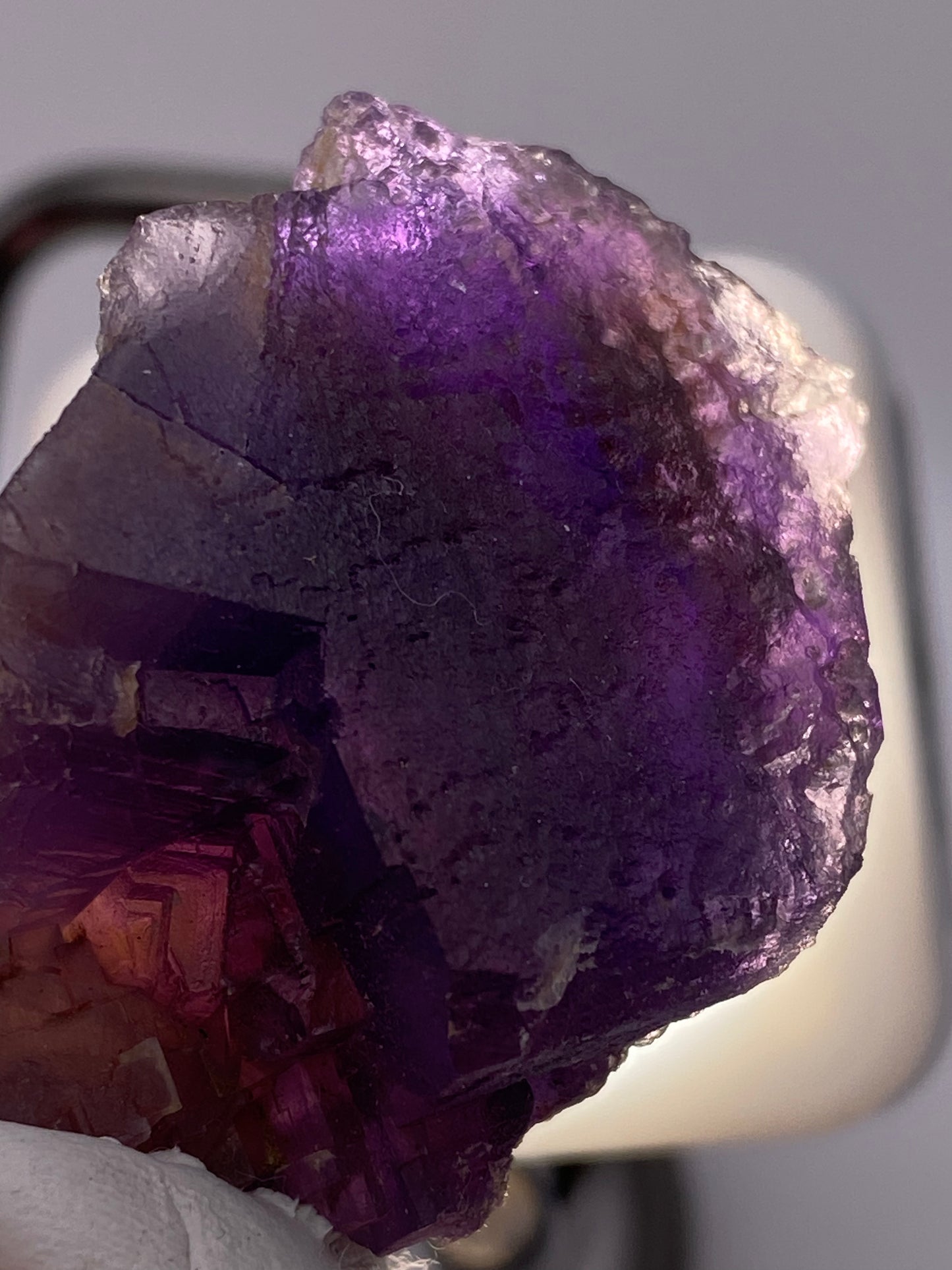 Close-up image of a Fluorite specimen, originating from Minerva Mine #1 in Hardin County, Illinois, showcasing a purple and partially translucent mineral with white and pinkish hues at the edges. The specimen is held by a hand wearing a white glove, against a softly lit background that highlights its intricate textures and rich color gradation. Product by The Crystalary.