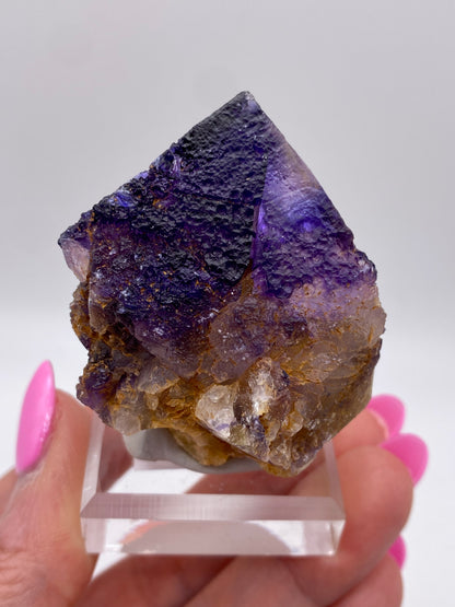 A close-up photo features a hand with pink nails holding a large specimen of The Crystalary's Fluorite from Minerva Mine Number 1 in Hardin County, Illinois. The mineral boasts a rough texture and showcases deep purple, dark blue, and brown crystalline formations that resemble a deep violet partial cube. It is mounted on a clear square base against a white background.