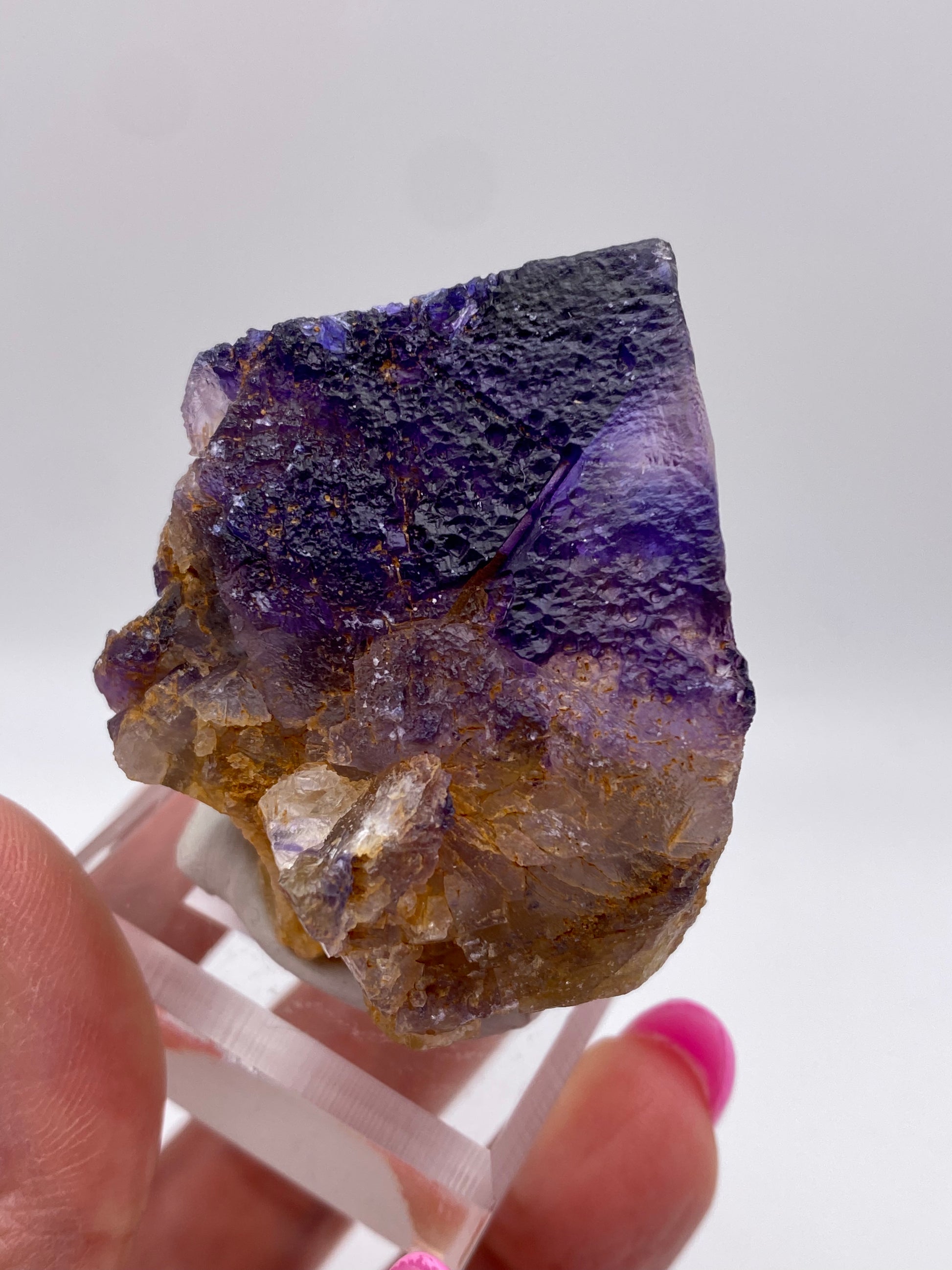 A person's hand, with pink-painted nails, holds a Deep violet Fluorite mineral from Minerva Mine Number 1 in Hardin County, Illinois, courtesy of The Crystalary, on a clear display stand. The crystal has a rough, jagged surface and transitions from deep purple at the top to brown at the bottom, against a plain white background.