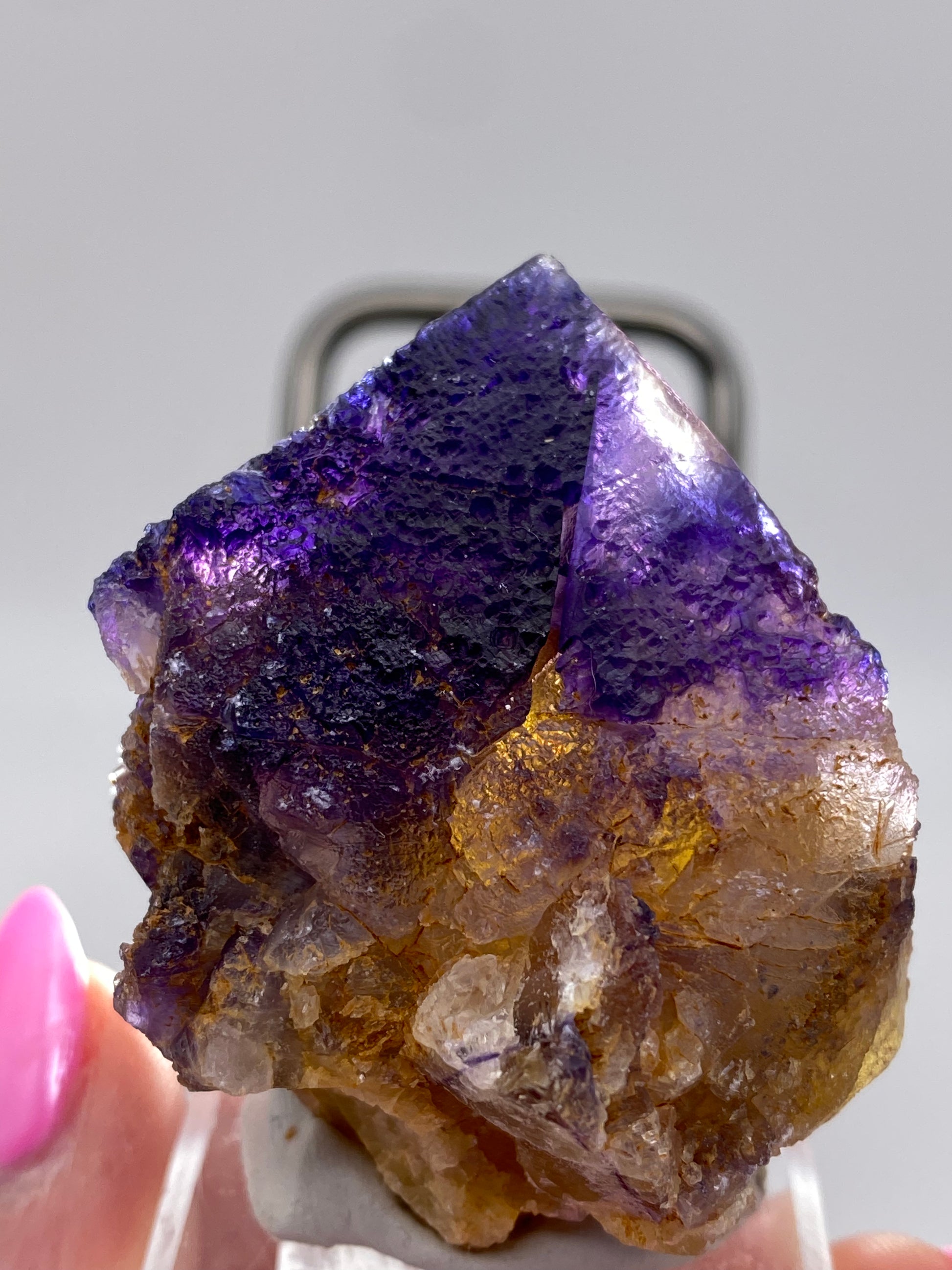 A person with pink-painted nails holds a Fluorite crystal cluster, sourced from The Crystalary's Minerva Mine Number 1 in Hardin County, Illinois. The fluorite exhibits a deep purple hue at the tips, transitioning to a golden-brown color at the base. The background is softly blurred, drawing focus to the gemstone's vibrant colors and textures.