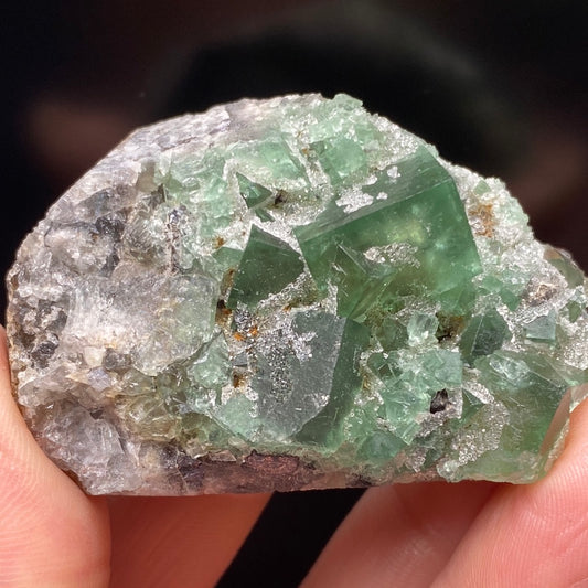 A person holds a partially translucent, color-changing Fluorite specimen with defined cubic formations from the Northern Lights Pocket in the Diana Maria Mine, Co. Durham, England. The crystal's surfaces are a mix of smooth and textured, showcasing various shades of green and embedded in a rough rocky matrix. This beautiful piece is part of The Crystalary collection.