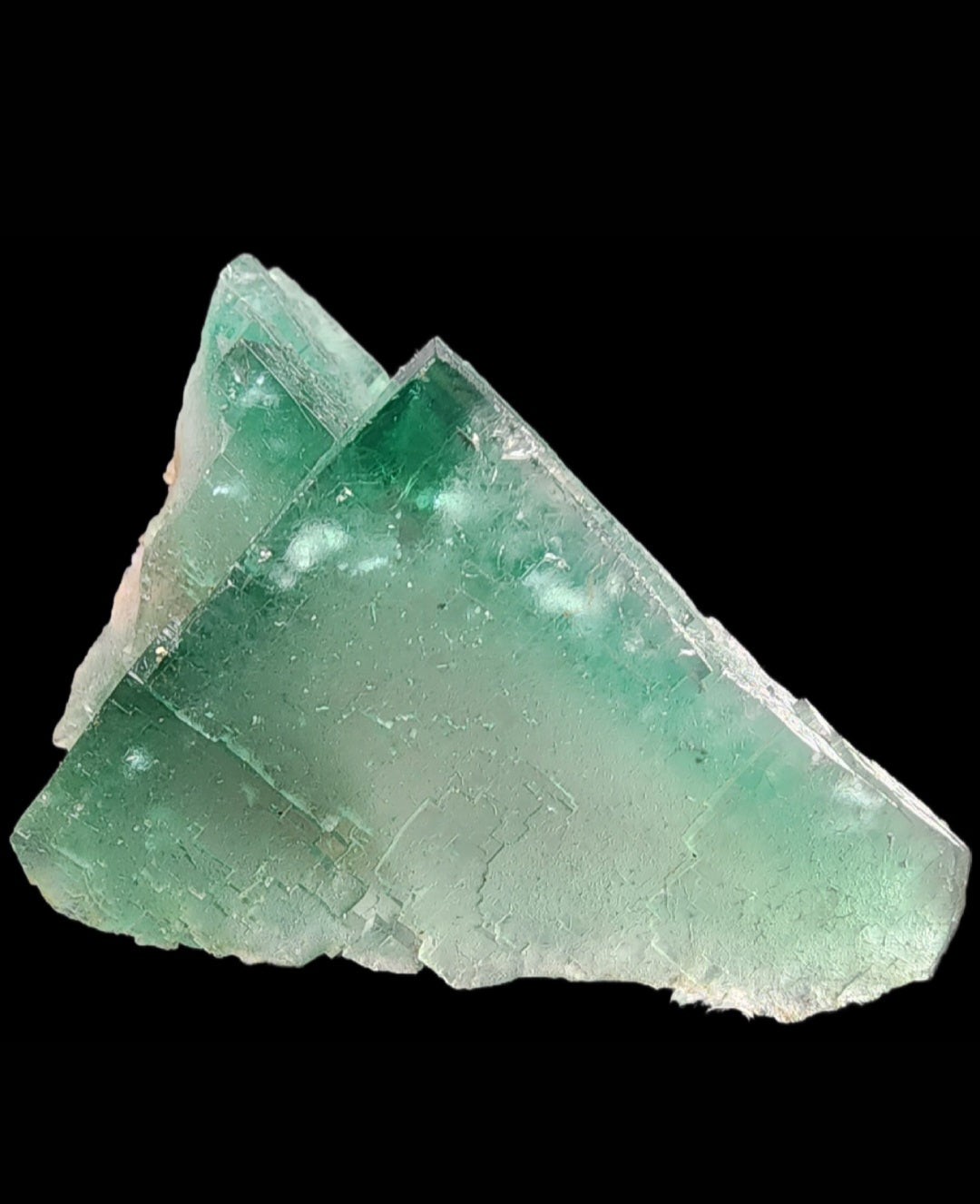 A close-up of the Fluorite - Poison Ivy Pocket crystal from Lady Annabella, Co Durham, England, UK by The Crystalary showcases gemmy green edges with a clear, glassy appearance and natural triangular formations. The layers and subtle variations in its green hue are vividly displayed against a solid black background.