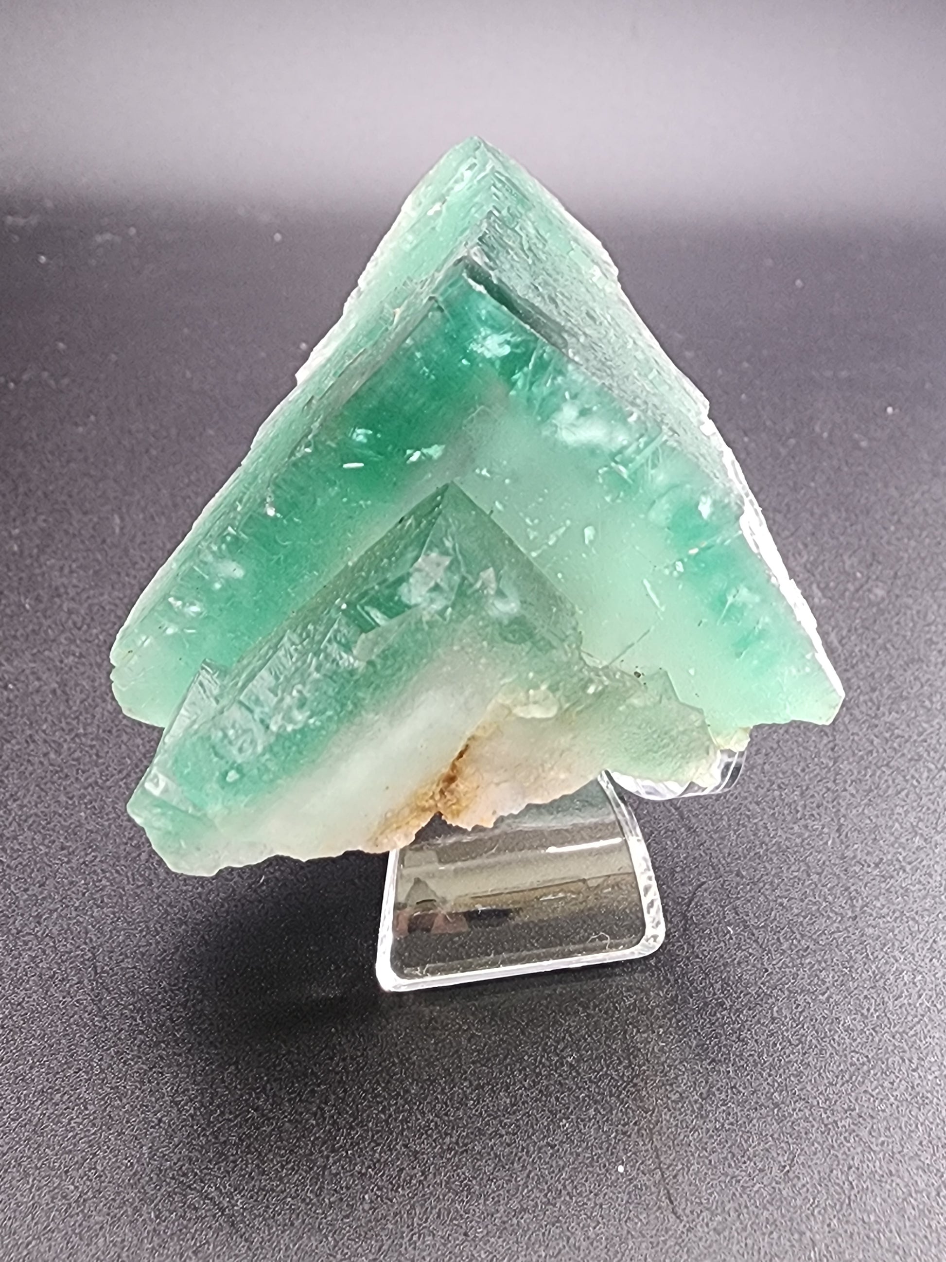 A green fluorite crystal cluster from The Crystalary's collection, specifically the Poison Ivy Pocket from Lady Annabella in Co Durham, England, sits on a clear stand against a dark grey background. The crystal boasts a triangular, almost pyramidal shape with visible layers and a white, textured base. Its smooth and glassy surface reflects light beautifully, with gemmy edges that highlight its serene fluorescence.