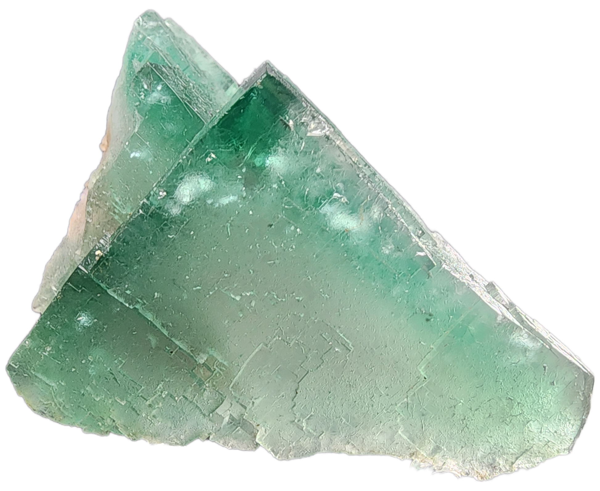 This piece of Fluorite from The Crystalary, originating from Poison Ivy Pocket in Lady Annabella, Co Durham, England, UK, features translucent cubic formations and gemmy edges. The crystal showcases varying shades of green with some white specks and lighter areas. Its edges are sharp and the surface is slightly rough, enhancing its allure.