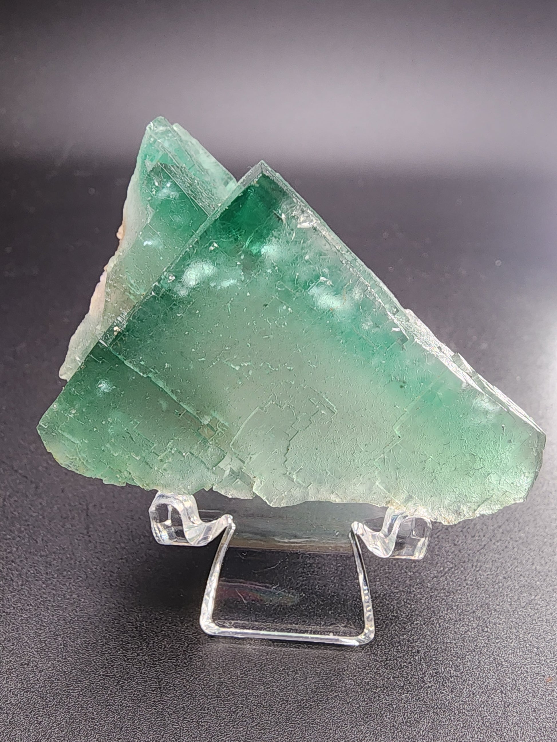 A stunning piece of green Fluorite from The Crystalary's Poison Ivy Pocket collection, originating from Lady Annabella in Co Durham, England, is displayed on a clear plastic stand against a dark background. The crystals exhibit sharp, gemmy edges and flat surfaces that beautifully showcase their geometric formation.