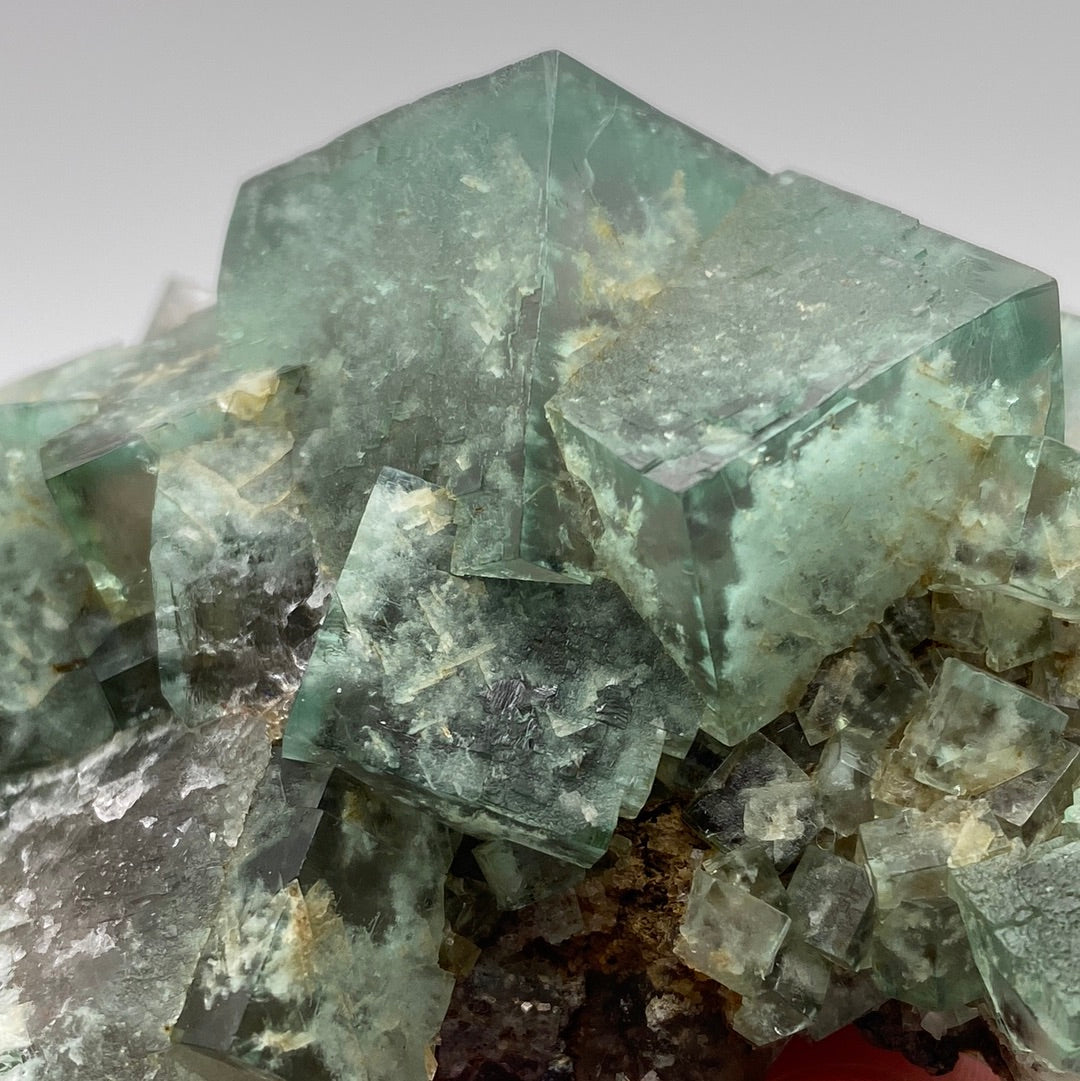 A close-up image of a cluster of gemmy Green Fluorite crystals from "Fluorite - Poison Ivy Pocket, Lady Annabella, Co Durham, UK" by The Crystalary. The crystals exhibit a cubic structure with well-formed edges and faces, featuring light veining and inclusions in some areas. The softly blurred background accentuates the texture and clarity of the crystals, suggesting their potential fluorescence.