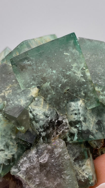 Close-up image of gemmy crystals, likely Fluorite from the Poison Ivy Pocket at Lady Annabella, Co Durham, UK by The Crystalary, with a translucent greenish-blue hue and rough texture. Some crystals have white streaks and appear stacked in various orientations. Soft lighting highlights their natural imperfections and clarity. A person's fingertip is partially visible.