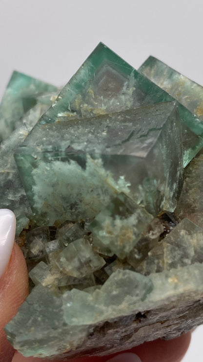 A close-up of a person's fingers holding a raw Fluorite specimen from the Poison Ivy Pocket, Lady Annabella, Co Durham, UK by The Crystalary, showcasing several greenish-blue, semi-transparent cubic crystals with rough surfaces and visible imperfections. The background is out of focus.