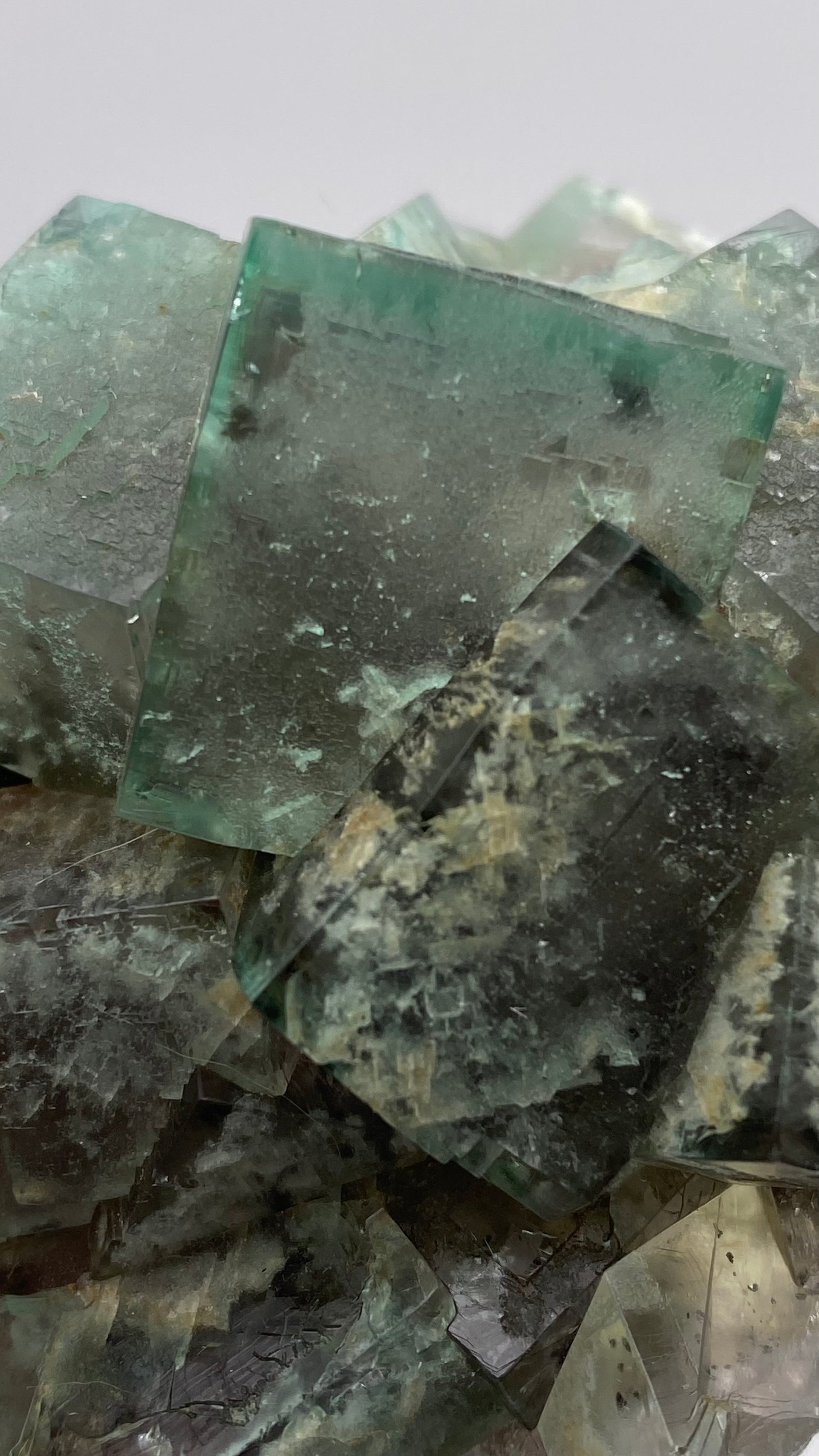 A close-up image showcases several square-shaped, green, and semi-transparent fluorite crystals from the "Poison Ivy Pocket" collection by The Crystalary. These gemmy crystals, sourced from Lady Annabella in Co Durham, UK, exhibit a glassy texture with various inclusions and impurities that lend them a slightly cloudy appearance. The background is out of focus.