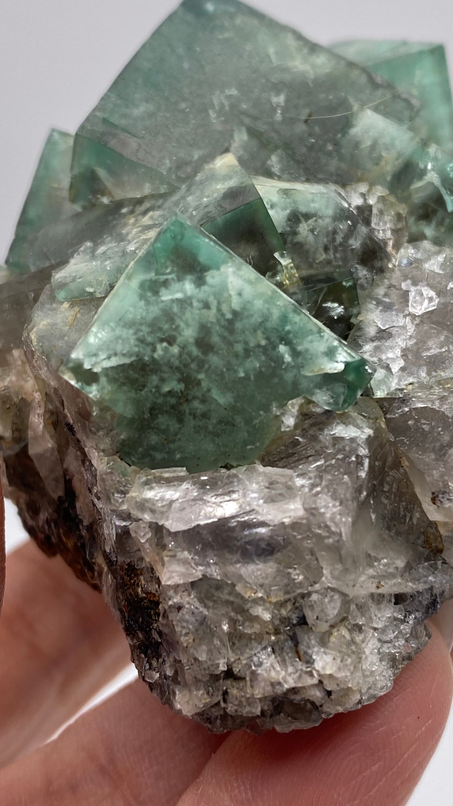 A hand holds the "Fluorite- Poison Ivy Pocket, Lady Annabella, Co Durham, UK" mineral specimen by The Crystalary, featuring gemmy green fluorite crystals atop a matrix of clear and white quartz. The large, transparent crystals showcase their green hue and slight fluorescence against the contrasting rough texture of the quartz base.