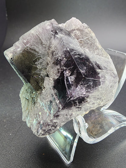 A rough, translucent crystal with dark, glossy facets rests on a clear, curved stand against a plain, dark background. The Fluorite from the renowned Purple Rain Pocket in Weardale, England displays irregular surfaces and various shades of gray and black, creating a striking contrast reminiscent of its origins. Available at The Crystalary.