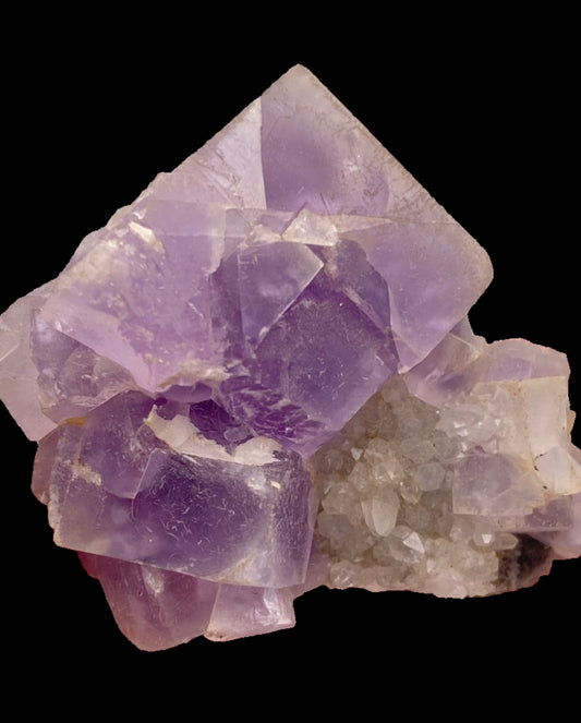 This exquisite Fluorite, Quartz specimen from The Crystalary features semi-translucent, cubic violet fluorite crystals from the Berbes Mine in Ribadesella, Asturias, Spain. The vibrant crystals showcase clear geometric lines and are interspersed with smaller white crystalline formations against a plain black background.