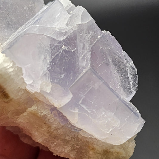 Close-up of a delicate, translucent, light purple cubic crystal formation, likely Fluorite from The Crystalary's Fishstick Pocket collection in the Bingham area of Hansonburg District, Socorro County, New Mexico. It sits on a rough beige quartz matrix with well-defined edges and a slightly frosted appearance. The background is blurred to emphasize details.