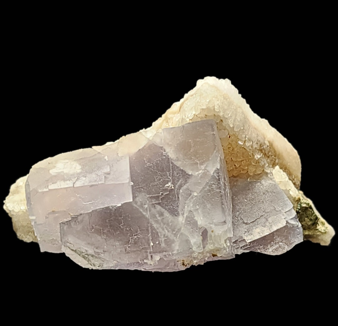 A cluster of pale purple fluorite crystals with cubic formations is set against a black background, highlighted by touches of blue fluorite. These translucent textures are complemented by beige mineral formations similar to a quartz matrix. This exquisite piece, Fluorite, Quartz- Fishstick Pocket from The Crystalary, comes from the Hansonburg District in Socorro County, New Mexico (sku 5855).