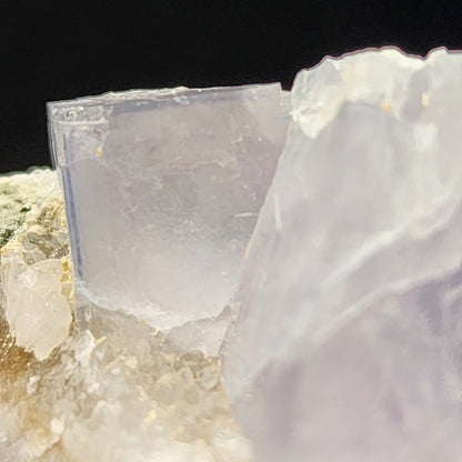 Close-up of a translucent blue fluorite from the Fishstick Pocket in Bingham, Hansonburg District, Socorro County, New Mexico, courtesy of The Crystalary. It showcases its cubic crystal structure with a pale lavender hue and is nestled within a rough, lighter-colored quartz matrix against a black background. SKU: 5855.