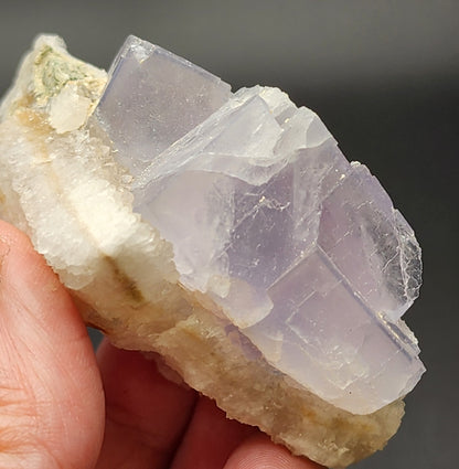 A close-up captures a hand holding a mineral specimen from The Crystalary, revealing translucent, pale purple fluorite crystals with a cubic shape, embedded within a quartz matrix. The light accentuates their smooth geometric surfaces against a dark backdrop, evocative of the blue fluorite found in the Hansonburg District of Socorro County, New Mexico. This piece is known as the Fluorite Quartz - Fishstick Pocket (SKU 5855).