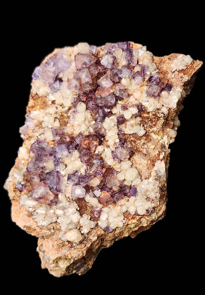 A rough rock specimen from The Crystalary, named Fluorite Quartz- Nonsense Pocket, found in Crystal Peak, Park County, Colorado. It is adorned with clusters of vibrant purple cubic fluorite and milky quartz crystals on its surface. The overall shape is irregular, and the vivid colors of the crystals contrast sharply against the earthy tones of the rock. A black background accentuates this marvel from Crystal Peak.