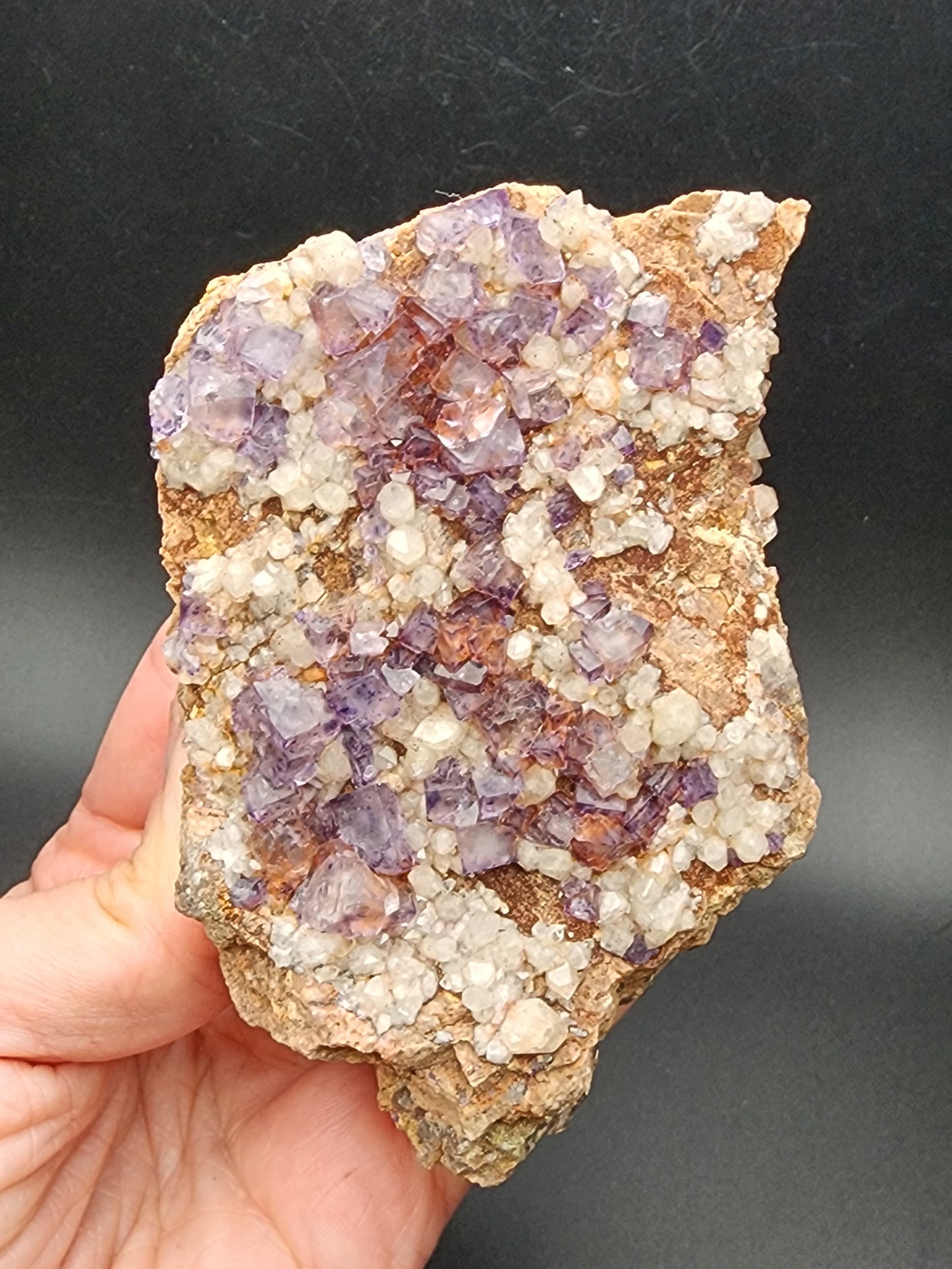 A hand holds a specimen from The Crystalary's Fluorite Quartz collection, featuring clusters of Colorado purple cubic fluorite and milky quartz, against a dark background. The crystals vary in size, giving the rock a textured appearance reminiscent of treasures from Crystal Peak in Park County, Colorado.