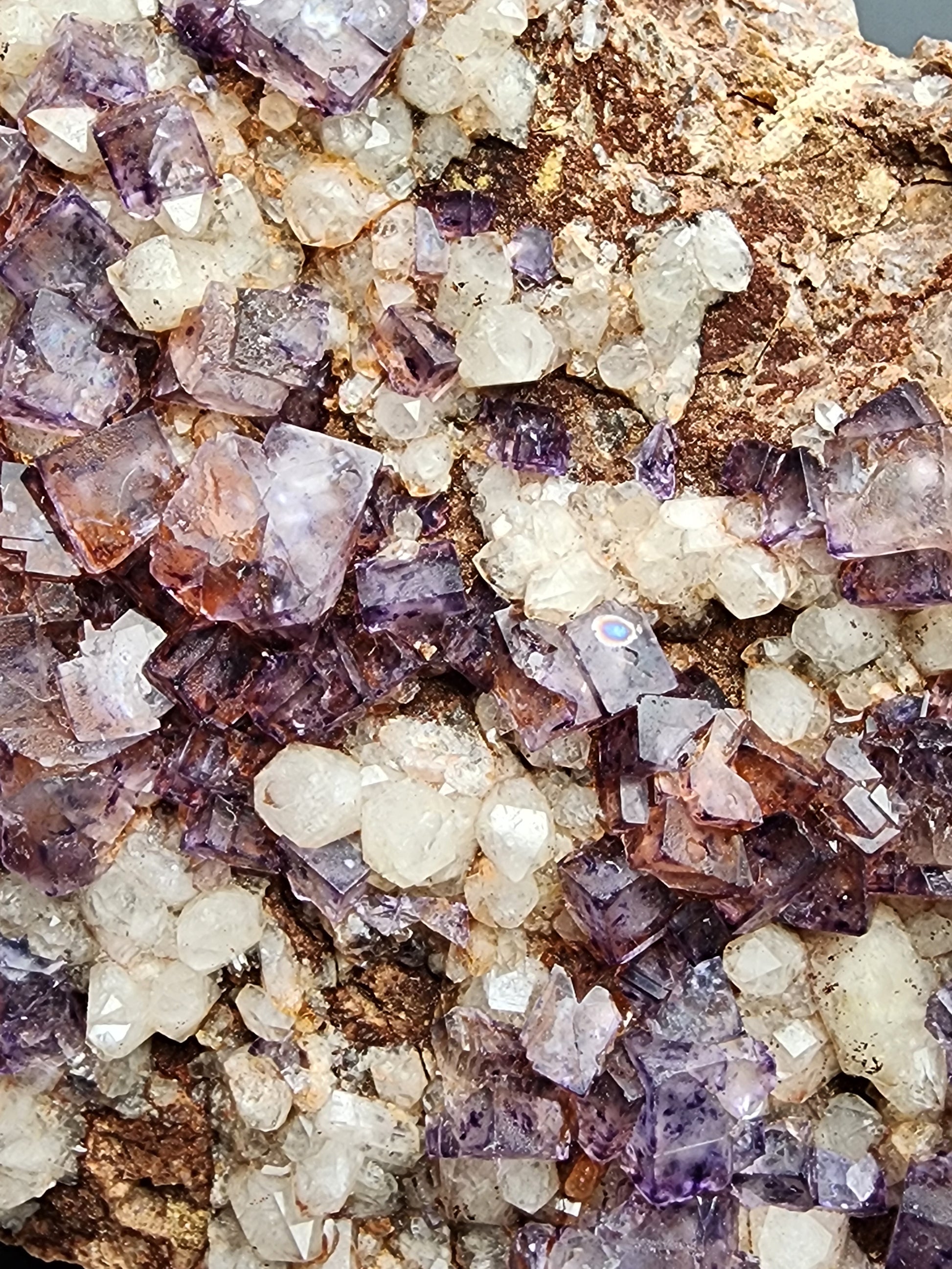 Close-up of a rock adorned with numerous purple and white fluorite crystals from the Nonsense Pocket, Crystal Peak, Park County, Colorado. The cubic crystals, sold by The Crystalary under the name Fluorite Quartz, are interspersed with specks of milky quartz and vary in size with a mix of translucent and opaque surfaces, creating an intricate and vibrant natural formation.