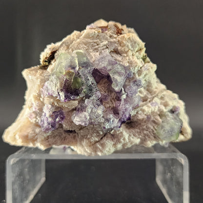 A close-up photograph of The Crystalary's Fluorite and Smokey Quartz specimen from the Green Monster Pocket in the Tarryall Mountains, Colorado, featuring clusters of purple and green crystals reminiscent of a stained glass effect embedded in a rough, beige matrix. The specimen is displayed on a clear stand against a dark background, highlighting the contrast between the crystals and the matrix.