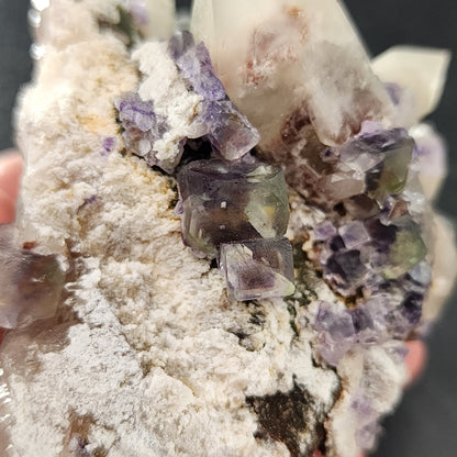 Close-up of a rock featuring Smokey Quartz crystals and cubic Fluorite crystals in shades of purple and green from The Crystalary, known as "Fluorite, Smokey Quartz - Green Monster Pocket" found in the Tarryall Mountains, Colorado. The surface, covered with a white powdery substance, creates a stained glass effect that highlights the contrast between the different minerals.