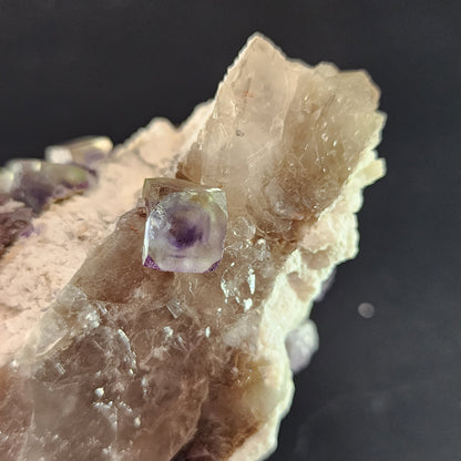 A close-up image of The Crystalary's Fluorite, Smokey Quartz from the Green Monster Pocket, Tarryall Mountains, Colorado features a cubic purple fluorite crystal embedded in a larger, translucent rock matrix that evokes a stained glass effect. The fluorite cube has a deep purple core with lighter edges and contrasts sharply with the surrounding cloudy, beige-colored rock. The background is black.