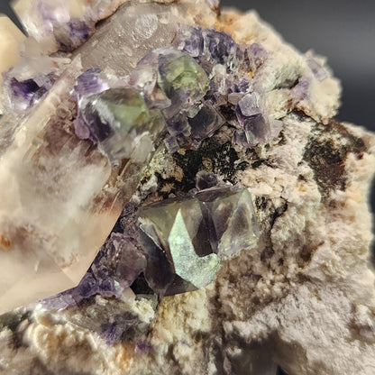 Close-up image of a mineral cluster featuring purple and green fluorite crystal formations embedded in a white, rough matrix with some brown sections. The crystals, reminiscent of a stained glass effect, show a mix of translucent and opaque textures, highlighted against the contrasting background. This stunning piece is known as Fluorite with Smokey Quartz from the Green Monster Pocket in Tarryall Mountains, Colorado, brought to you by The Crystalary.