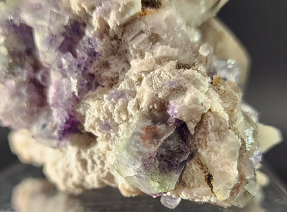 Close-up of a Fluorite, Smokey Quartz specimen from The Crystalary's Green Monster Pocket in the Tarryall Mountains, Colorado, showcasing light purple and green fluorite crystals embedded in a rough, white matrix. The intricate crystalline structures are visibly complex, creating a stained glass effect as the colors contrast strikingly against the textured white surface.