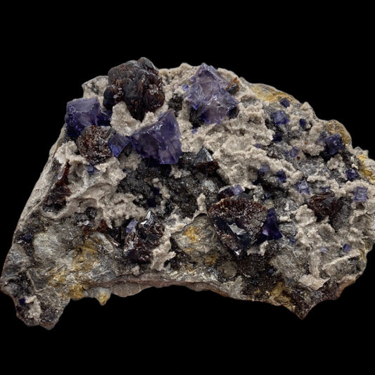 A close-up image of a rock specimen featuring clusters of deep blue and purple fluorite crystals embedded in a grayish, rocky matrix. The rough textured surface highlights the contrast between the colorful crystals and the dull background, creating a striking visual reminiscent of treasures from Elmwood Mine. This stunning piece, featuring Fluorite, Sphalerite, and Quartz from Elmwood Mine in Smith County, TN, USA, is brought to you by The Crystalary.