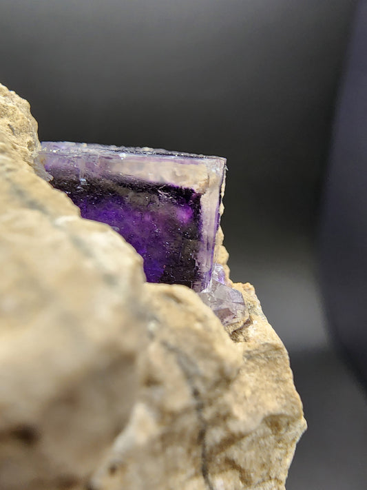 Close-up of a large Fluorite-Stoneco Auglaize Quarry mineral specimen, partially embedded in a light brown rock from Junction, Paulding County, Ohio. The vibrant cube by The Crystalary displays a glassy, semi-transparent quality with distinct edges and a deep violet hue, contrasting sharply with the matt, rough texture of the surrounding rock.