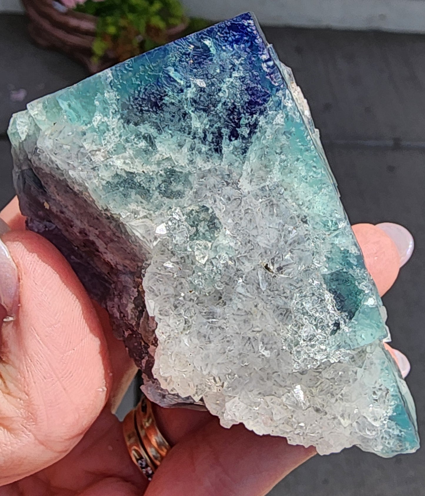 A hand holding The Crystalary's Fluorite-Supernova Pocket from the Diana Marie Mine in Weardale, Co. Durham, England. The crystal displays a stunning mix of blue and green hues, with a rough texture complemented by clear, glass-like facets and a vibrant dark blue top. Rings adorn the person's fingers. The out-of-focus outdoor background evokes the feeling of capturing a moment from a supernova pocket.