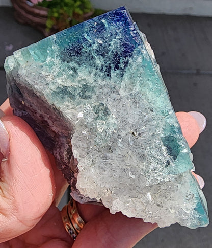 A hand holding The Crystalary's Fluorite-Supernova Pocket from the Diana Marie Mine in Weardale, Co. Durham, England. The crystal displays a stunning mix of blue and green hues, with a rough texture complemented by clear, glass-like facets and a vibrant dark blue top. Rings adorn the person's fingers. The out-of-focus outdoor background evokes the feeling of capturing a moment from a supernova pocket.