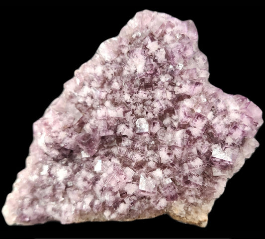 A large cluster of cubic, light purple fluorite crystals with a rough texture from the T-Junction Pocket, Greenlaws Mine in Co. Durham, England. The double-sided cubes are densely packed and vary slightly in shade, creating a sparkling effect. This cabinet specimen sits against a black background, highlighting its intricate structure and is offered by The Crystalary.